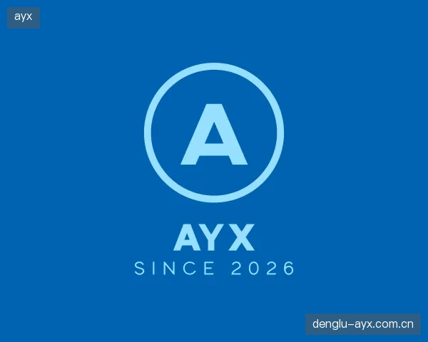 介绍ayx公司